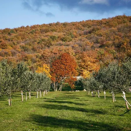Villa Morchaki Country & Labin (Istria)