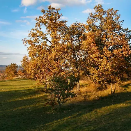 Morchaki Country & Villa Labin (Istria)